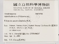登錄號:F0024391藏品圖，第2張