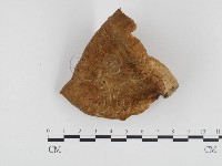 登錄號:F0024391藏品圖，第1張