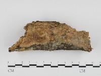 登錄號:F0024392藏品圖，第1張