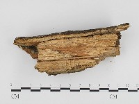 登錄號:F0024392藏品圖，第3張
