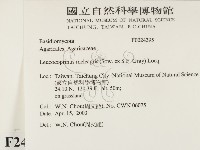 登錄號:F0024395藏品圖，第2張