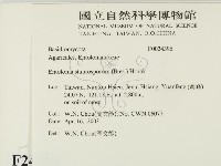 登錄號:F0024396藏品圖，第2張