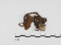 登錄號:F0024396藏品圖，第3張