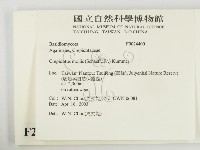 登錄號:F0024400藏品圖，第2張