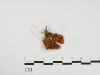 登錄號:F0024400藏品圖，第3張