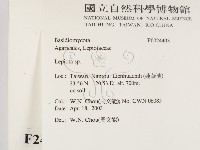 登錄號:F0024403藏品圖，第2張