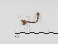 登錄號:F0024405藏品圖，第3張