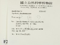 粉褶菌屬藏品圖，第2張