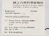 登錄號:F0024408藏品圖，第2張