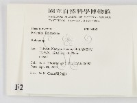 登錄號:F0024409藏品圖，第2張