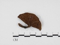 登錄號:F0024409藏品圖，第3張