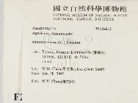 登錄號:F0024410藏品圖，第2張