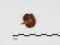 登錄號:F0024411藏品圖，第1張