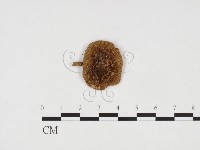 登錄號:F0024411藏品圖，第3張