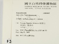 登錄號:F0024415藏品圖，第2張