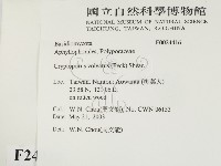 登錄號:F0024416藏品圖，第2張