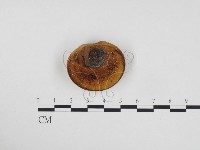 登錄號:F0024416藏品圖，第1張