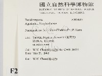 登錄號:F0024417藏品圖，第2張