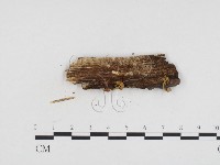 登錄號:F0024417藏品圖，第3張