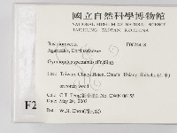 登錄號:F0024418藏品圖，第2張