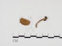 登錄號:F0024419藏品圖，第3張