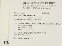 登錄號:F0024421藏品圖，第2張