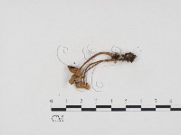 登錄號:F0024421藏品圖，第3張