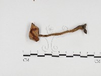 登錄號:F0024423藏品圖，第3張