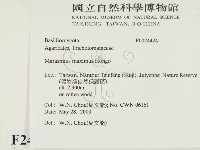 登錄號:F0024424藏品圖，第2張
