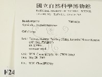 登錄號:F0024426藏品圖，第2張