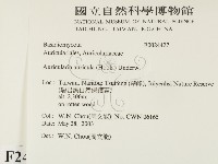登錄號:F0024427藏品圖，第2張