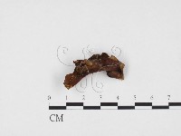 登錄號:F0024427藏品圖，第1張