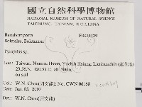 登錄號:F0024429藏品圖，第2張