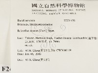 登錄號:F0024430藏品圖，第2張