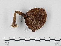 登錄號:F0024430藏品圖，第1張