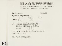 登錄號:F0024433藏品圖，第2張