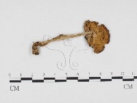 登錄號:F0024433藏品圖，第3張