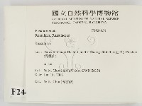 紅菇屬藏品圖，第2張