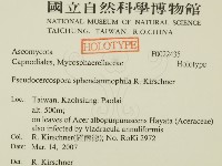 紅菇屬藏品圖，第2張