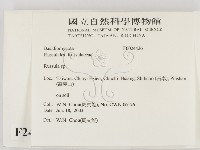 紅菇屬藏品圖，第2張