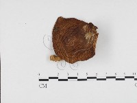登錄號:F0024437藏品圖，第1張