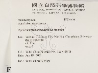 登錄號:F0024438藏品圖，第2張