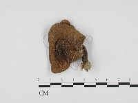 登錄號:F0024438藏品圖，第1張