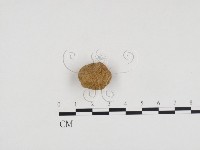 登錄號:F0024439藏品圖，第1張