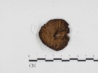 登錄號:F0024441藏品圖，第3張