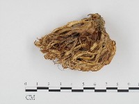 登錄號:F0024442藏品圖，第3張