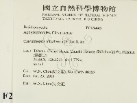 登錄號:F0024443藏品圖，第2張