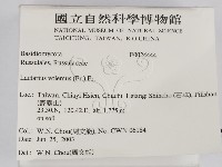 登錄號:F0024444藏品圖，第2張