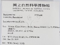 登錄號:F0024446藏品圖，第2張
