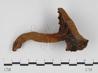 登錄號:F0024446藏品圖，第1張